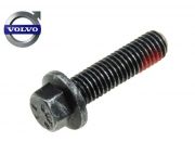 Flensbout Volvo universeel M8 x 30 Volvo 985039